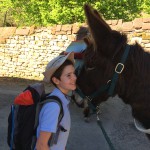A Collonges-la-rouge