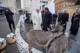 Anes offerts au pape
