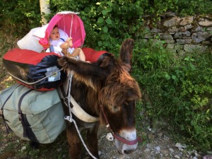 essai infructueux