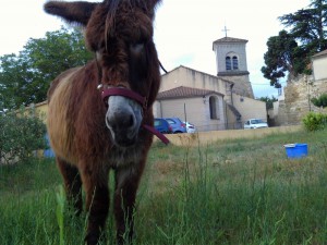 Pujaut (chez Guillaume et Julie)