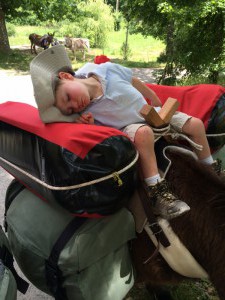 Sieste
