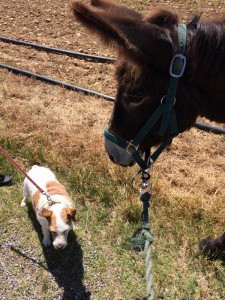 Rencontre