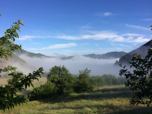 Lever de brume