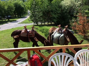 Au camping Clot du Jay à Clamensane