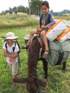 Filipo, fils de Walter