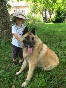 rintintin