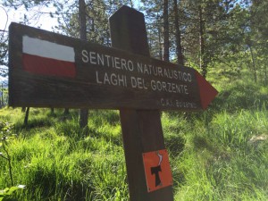 le Tau du chemin d'Assise