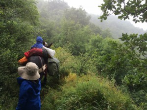 Dans la jungle de l'AV