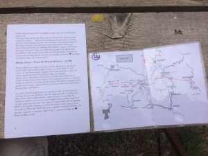 la topo vitale