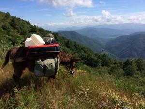Menelas a fait l'alta via