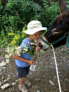 Leopold le dit avec des fleurs