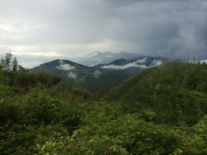 IMG_6571 (800x600)