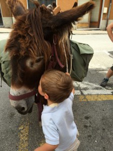 gros calin