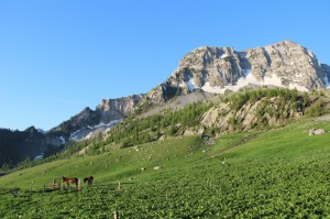 vers le col de Bernardez