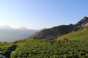Au refuge du berger (2000m)