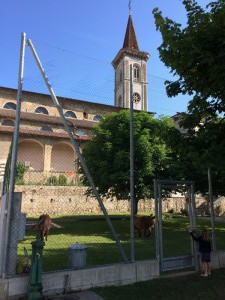 A Borgo dans la paroisse