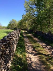 Le chemin