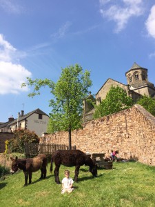 Thédore et ses ânes