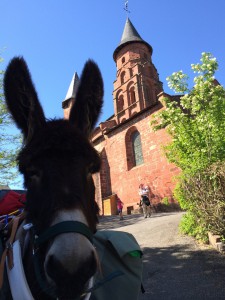 Toto a fait Collonges aussi